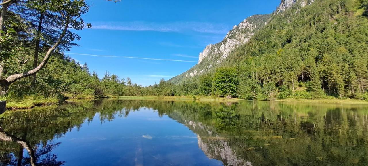 Laerche 2 - Chiemgaukarte Inklusive- Leilighet Inzell Eksteriør bilde