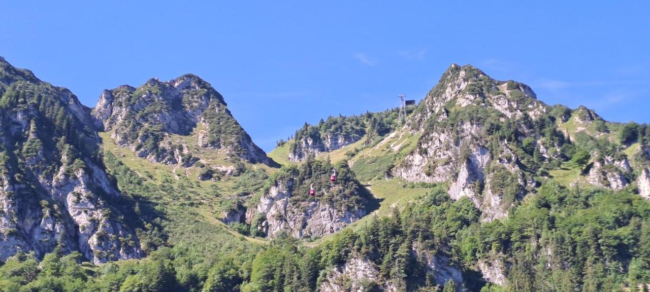 Laerche 2 - Chiemgaukarte Inklusive- Leilighet Inzell Eksteriør bilde